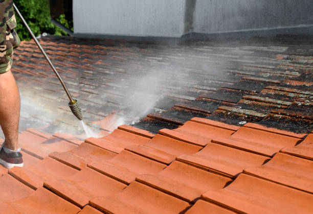 Best Deck Pressure Washing  in Dana, NC