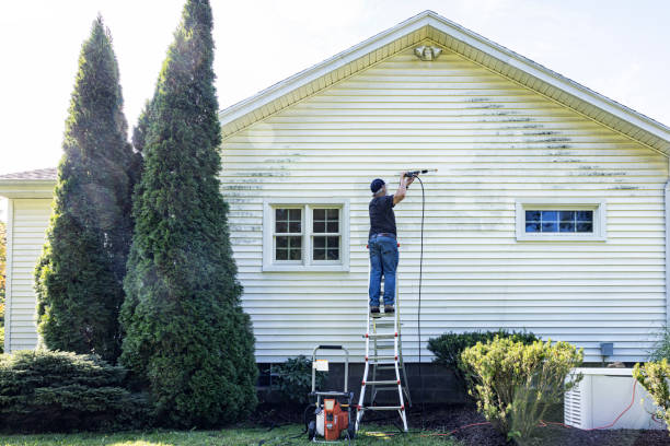 Deck Cleaning Services in Dana, NC