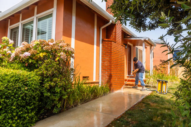 Best Local Pressure Washing Services  in Dana, NC