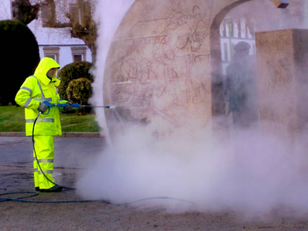 Best Affordable Power Washing  in Dana, NC