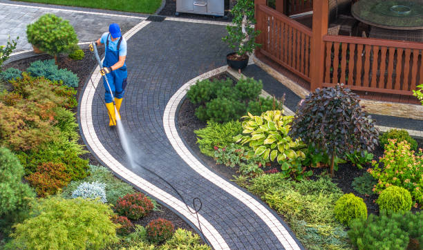 Best Power Washing Near Me  in Dana, NC